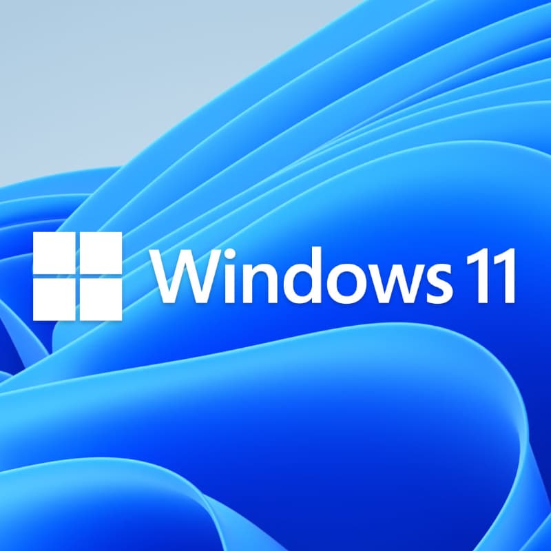 MICROSOFT WIN 11 PRO 64BIT DSP - view 2