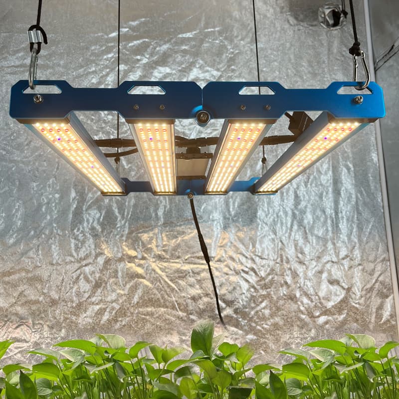 Kingbrite P55 240W BAR Grow Light with UV+IR |Samsung LM281B - view 6