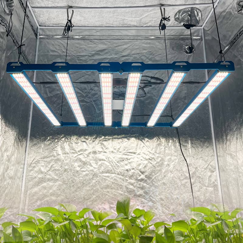 Kingbrite P55 480W BAR Grow Light with UV+IR |Samsung LM281B - view 5