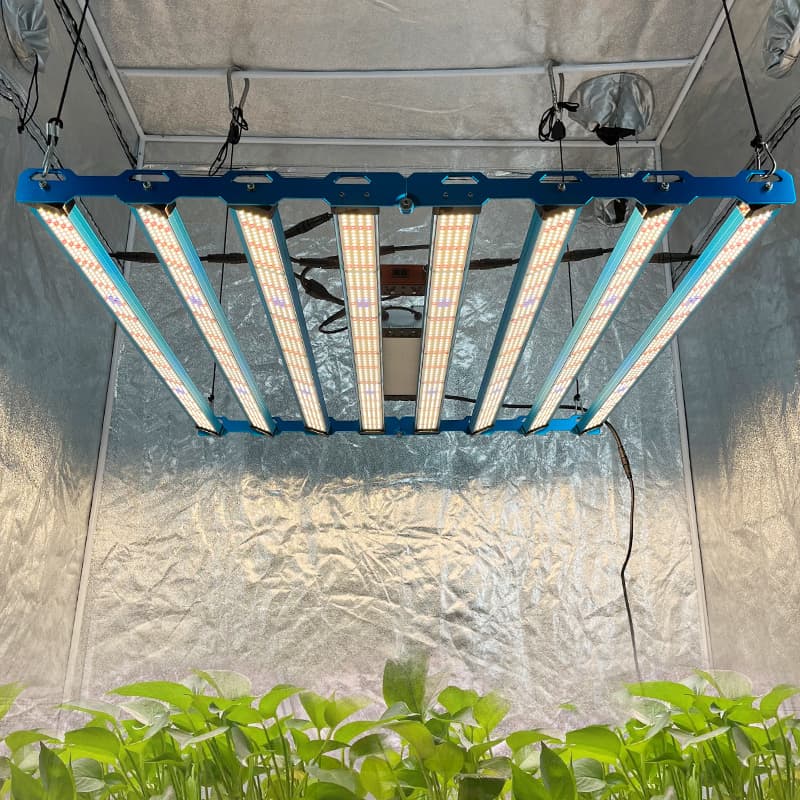 Kingbrite P55 800W BAR Grow Light with UV+IR |Samsung LM281B - view 5