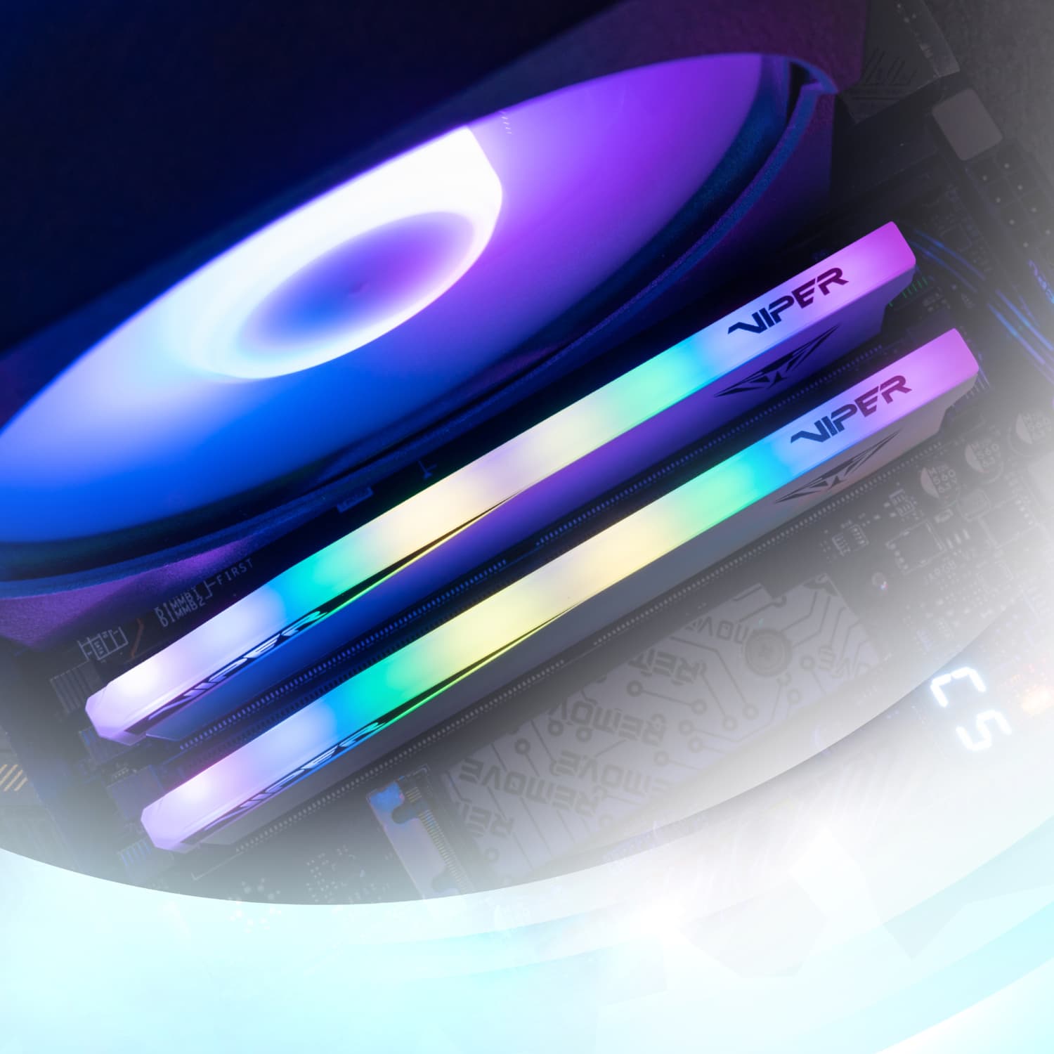 Patriot Viper Elite 5 RGB 32GB 6000MHz DDR5 Desktop Gaming Memory Kit - White - view 5
